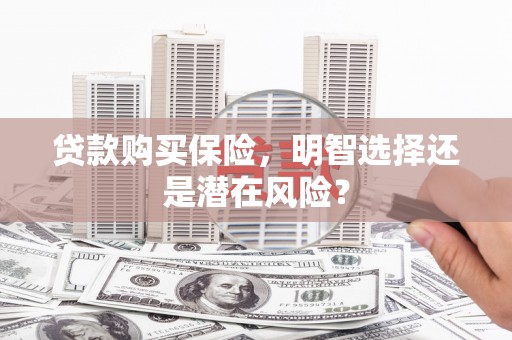 全州贷款购买保险，明智选择还是潜在风险？