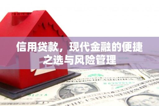 乐东信用贷款，现代金融的便捷之选与风险管理