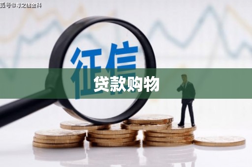 王益贷款购物