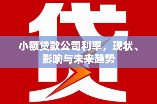 柳河小额贷款公司利率，现状、影响与未来趋势