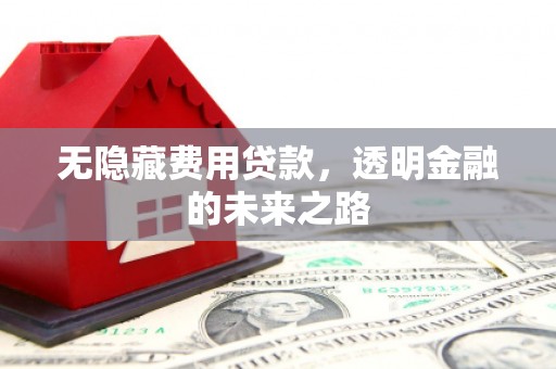 新营无隐藏费用贷款，透明金融的未来之路