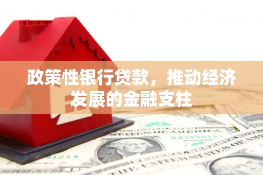 嘉兴政策性银行贷款，推动经济发展的金融支柱