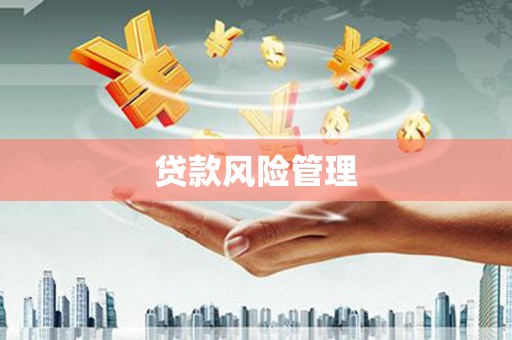 龙文贷款风险管理