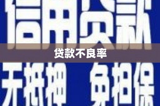 宁江贷款不良率