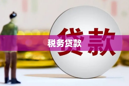 泰顺税务贷款
