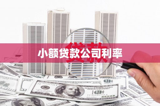 德宏小额贷款公司利率