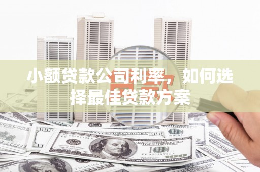 丰顺小额贷款公司利率，如何选择最佳贷款方案