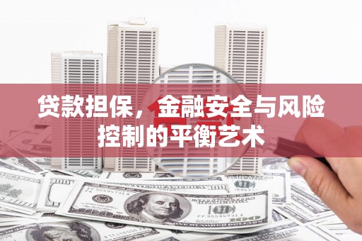 乐清贷款担保，金融安全与风险控制的平衡艺术