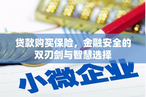 东兴贷款购买保险，金融安全的双刃剑与智慧选择