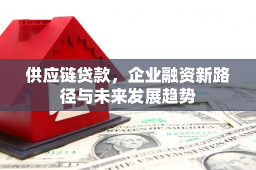 南乐供应链贷款，企业融资新路径与未来发展趋势