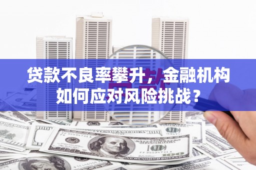 淮阳贷款不良率攀升，金融机构如何应对风险挑战？