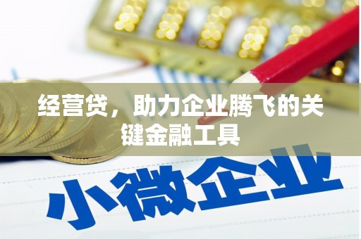 池上经营贷，助力企业腾飞的关键金融工具