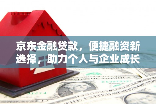 桃江京东金融贷款，便捷融资新选择，助力个人与企业成长