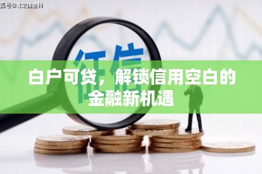 汉川白户可贷，解锁信用空白的金融新机遇