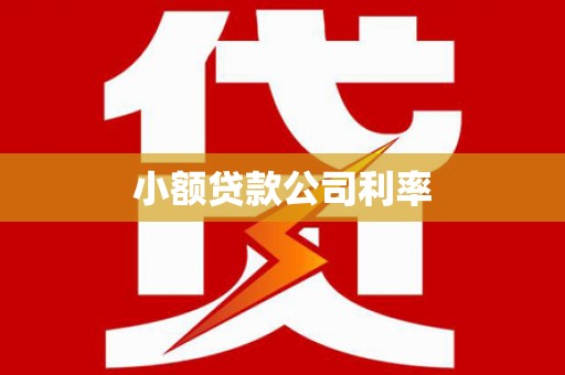 林甸小额贷款公司利率