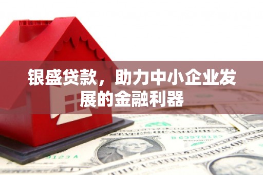 威宁银盛贷款，助力中小企业发展的金融利器