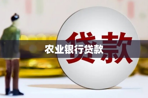 新蔡农业银行贷款