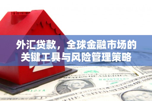 铁锋外汇贷款，全球金融市场的关键工具与风险管理策略
