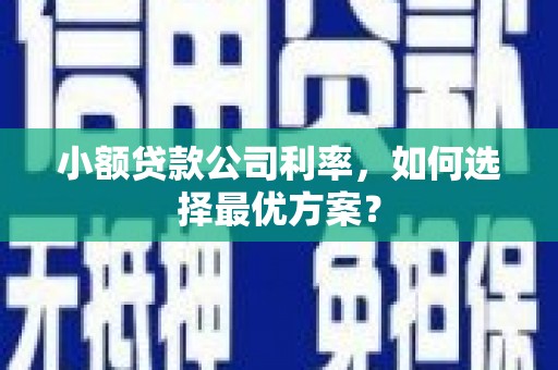 灵石小额贷款公司利率，如何选择最优方案？