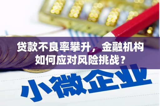 凤泉贷款不良率攀升，金融机构如何应对风险挑战？