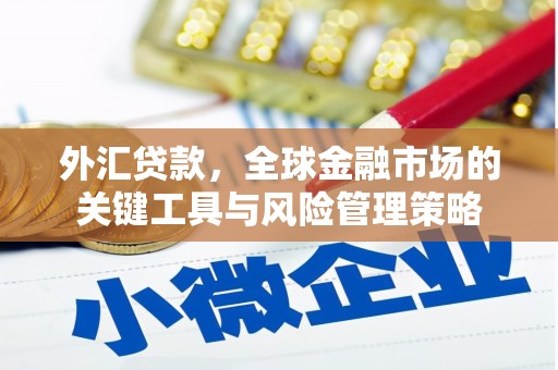 兴和外汇贷款，全球金融市场的关键工具与风险管理策略