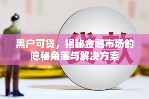 资阳黑户可贷，揭秘金融市场的隐秘角落与解决方案