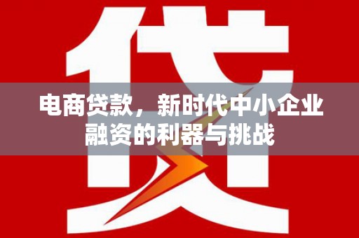灌云电商贷款，新时代中小企业融资的利器与挑战