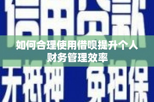 乐都如何合理使用借呗提升个人财务管理效率
