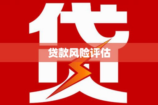 魏县贷款风险评估