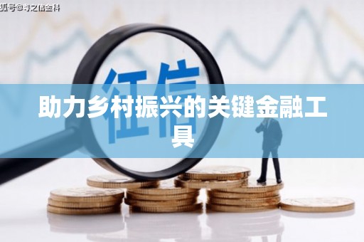 阆中助力乡村振兴的关键金融工具