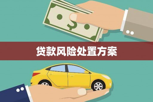 瓮安贷款风险处置方案