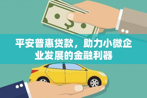 卫东平安普惠贷款，助力小微企业发展的金融利器