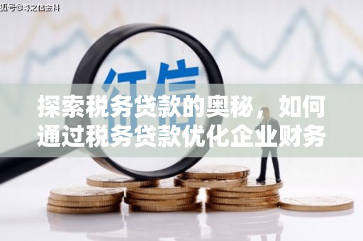 唐县探索税务贷款的奥秘，如何通过税务贷款优化企业财务