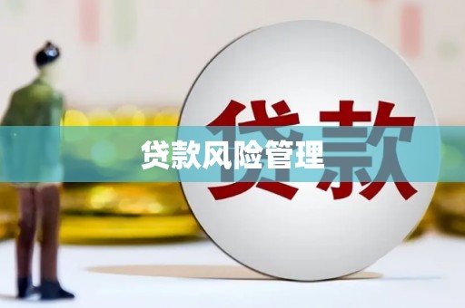 叙永贷款风险管理