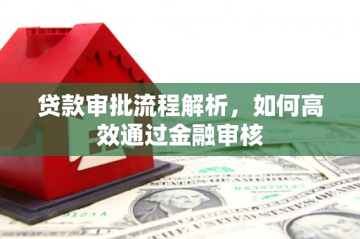 壮围贷款审批流程解析，如何高效通过金融审核