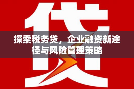 中和探索税务贷，企业融资新途径与风险管理策略