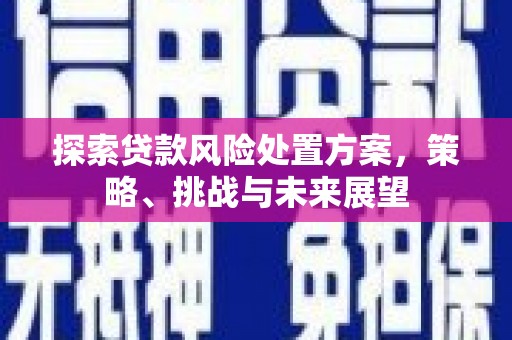 崖州探索贷款风险处置方案，策略、挑战与未来展望