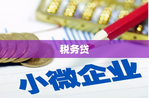 南召税务贷