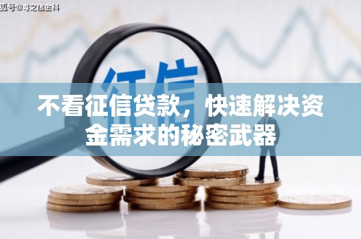 皇姑不看征信贷款，快速解决资金需求的秘密武器