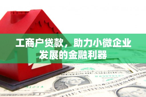 寿丰工商户贷款，助力小微企业发展的金融利器