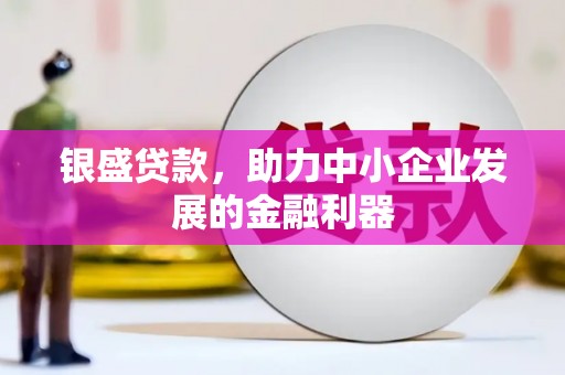 陵城银盛贷款，助力中小企业发展的金融利器