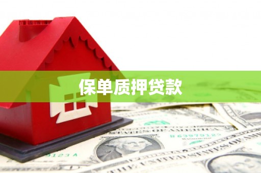 屏边保单质押贷款