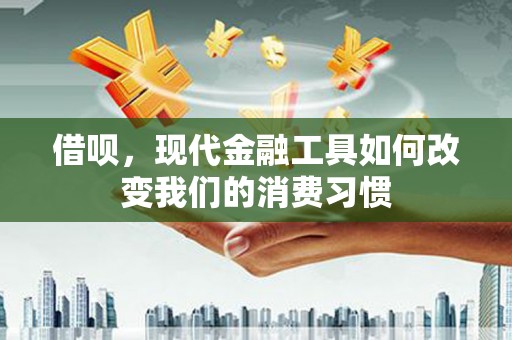 陇南借呗，现代金融工具如何改变我们的消费习惯