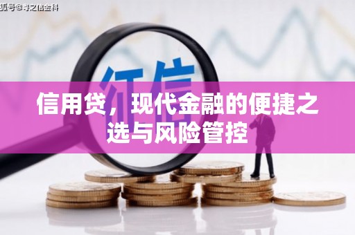 邵东信用贷，现代金融的便捷之选与风险管控