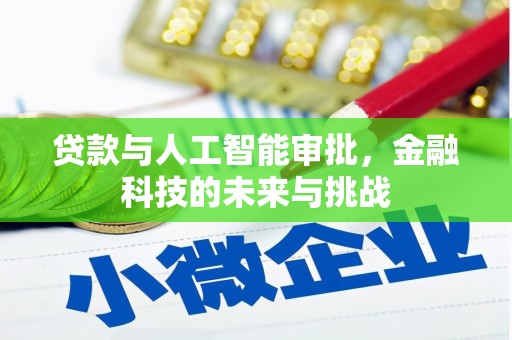 平湖贷款与人工智能审批，金融科技的未来与挑战