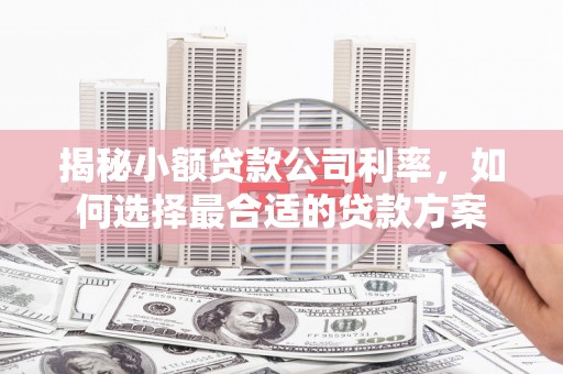 大里揭秘小额贷款公司利率，如何选择最合适的贷款方案