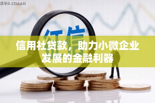 衡水信用社贷款，助力小微企业发展的金融利器