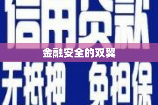 观音金融安全的双翼