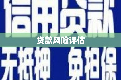 安远贷款风险评估