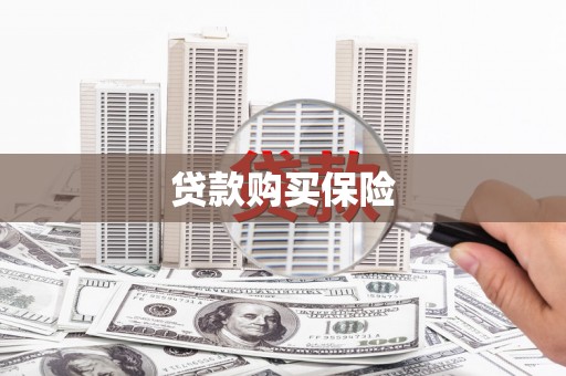 大名贷款购买保险